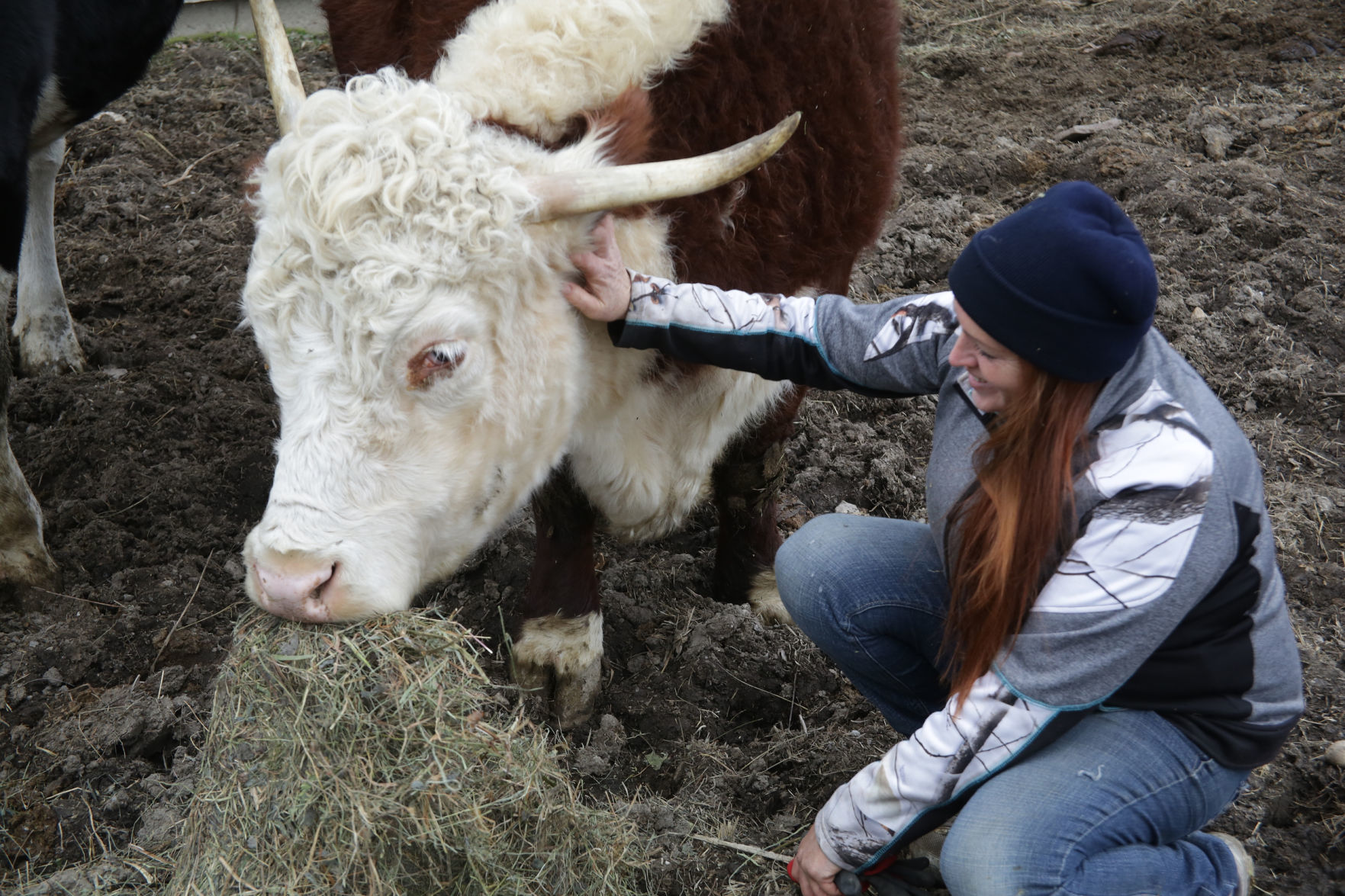 Erin's Farm animal sanctuary